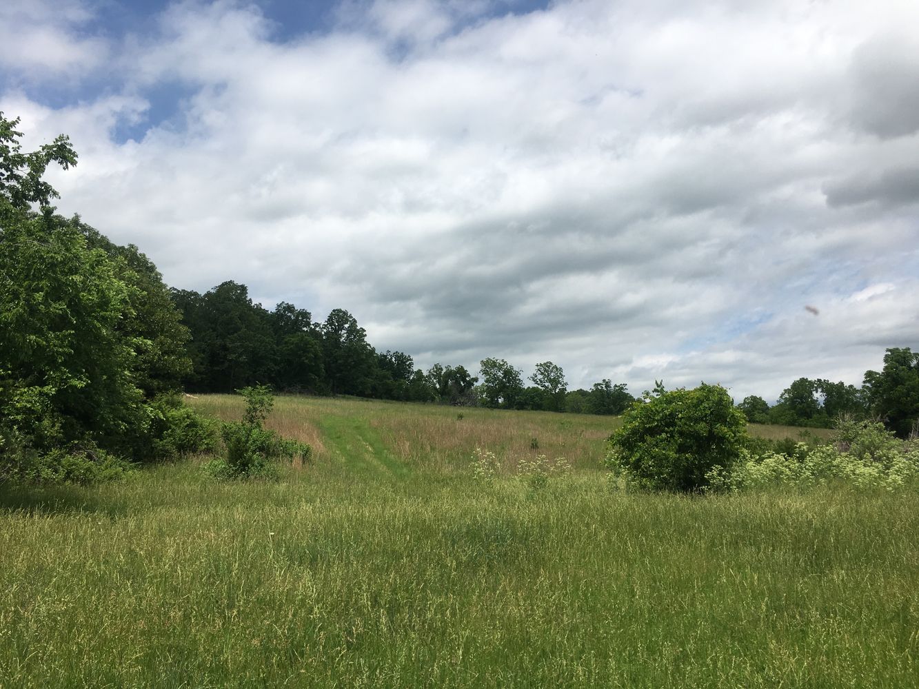 4897 & 4878 Norman Drive, Hartville, MO 65667